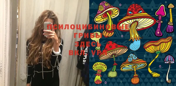 винт Абаза