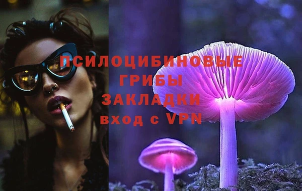 стафф Алексеевка