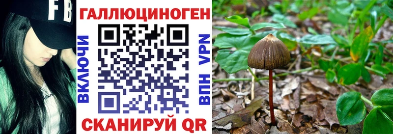 гидра рабочий сайт  Ливны  Псилоцибиновые грибы Magic Shrooms  закладка 